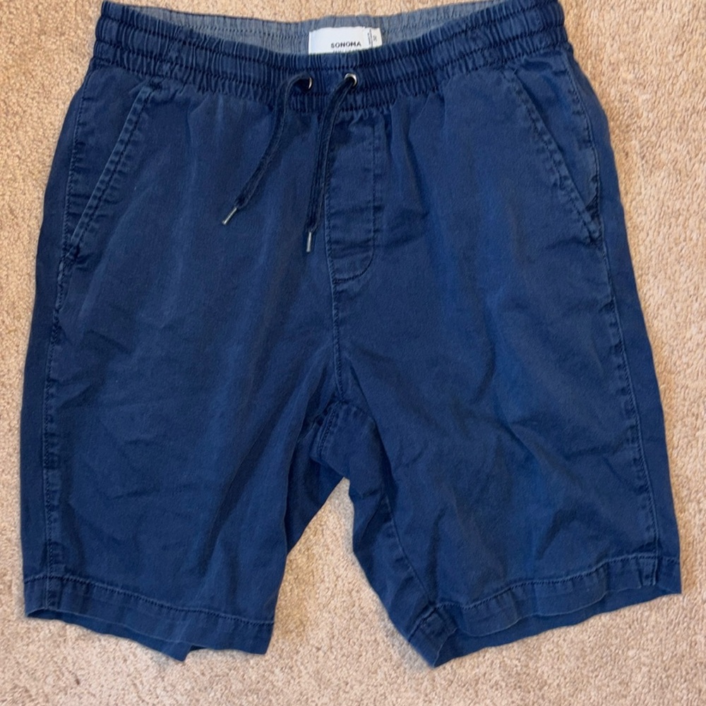 Blue Sonoma Cargo Shorts